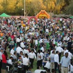 תרבות תורנית