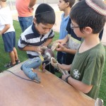 תרבות תורנית