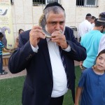 תרבות תורנית