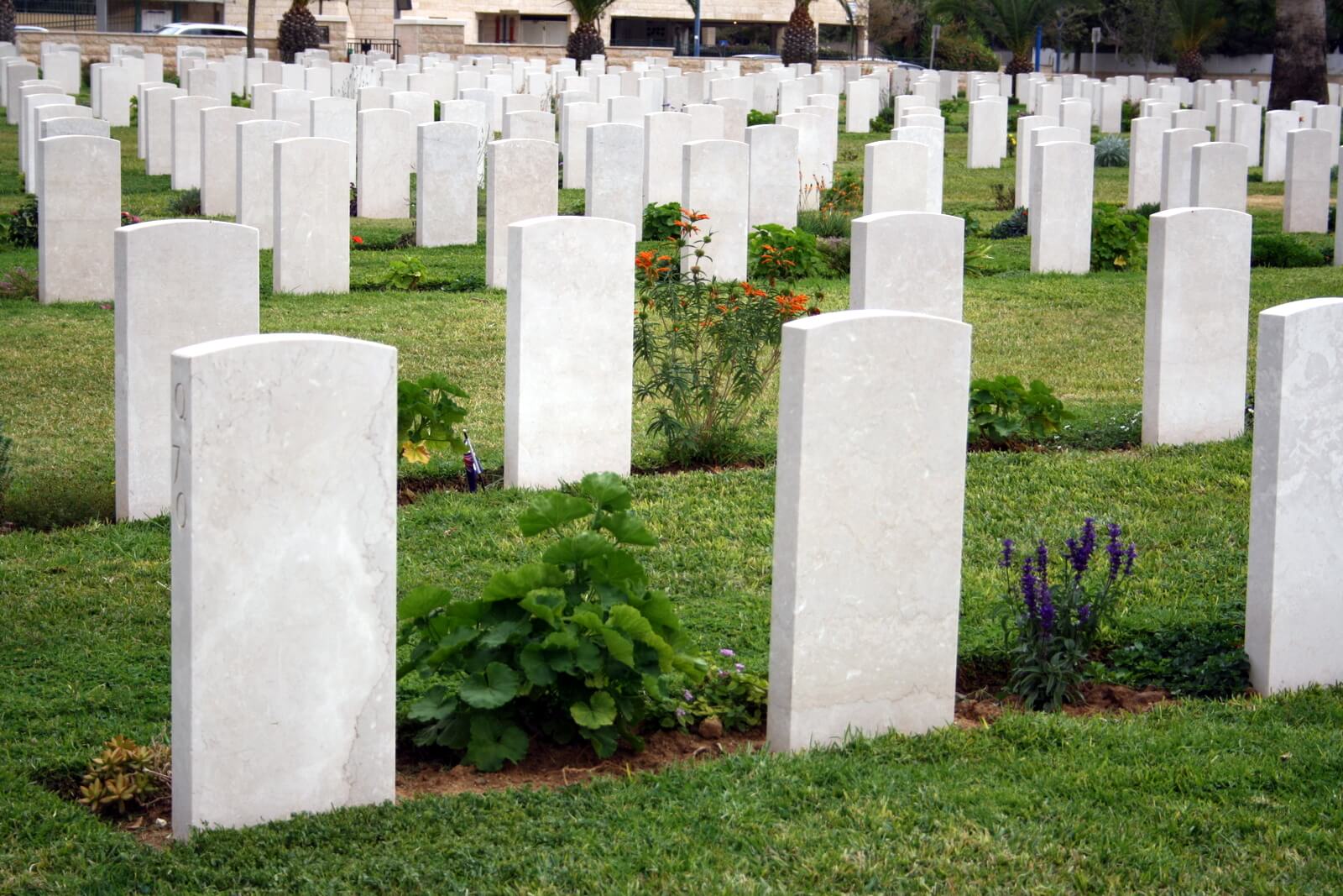 המרכז-להנצחת-חיילי-אנזק