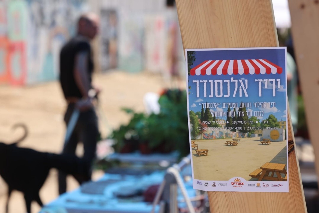 תמונה3
